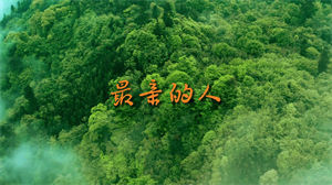 S1011岳云鹏《最亲的人》#原版伴奏 #带和声 春晚歌曲节日晚会舞蹈演出舞台mv高清LED视频背景素材