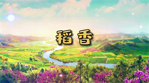 S1030周杰伦《稻香》#原版伴奏 #无人声 唯美意境节日晚会舞蹈演出舞台mv高清LED视频背景素材