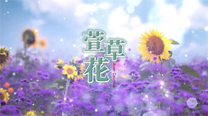 S1068张小斐《萱草花》#原版伴奏 #无人声 唯美治愈花海母爱节日晚会舞蹈演出舞台mv高清LED视频背景素材