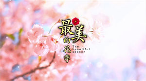 S1075杨烁《最美的花季》#原版伴奏 #无人声 儿童励志阳光歌曲节日晚会舞蹈演出舞台mv高清LED视频背景素材