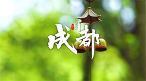 S1125小石头和孩子们 师葭希《成都》#原版伴奏 #无人声 城市街头人文风景节日晚会舞蹈演出舞台mv高清LED视频背景素材