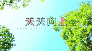 S1160天天兄弟《天天向上》#原版伴奏 #带和声 儿童歌曲唯美校园版节日活动晚会舞蹈演出高清LED视频背景素材