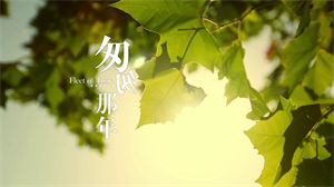 S1163王菲《匆匆那年》#原版伴奏 #带和声 唯美意境节日活动晚会舞蹈演出高清LED视频背景素材