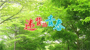 S1176薛之谦《违背的青春》#原版伴奏 #带和声 唯美励志歌曲节日晚会舞蹈演出舞台mv高清LED视频背景素材