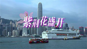 S1230李荣浩梁咏琪《紫荆花盛开》#原版伴奏 #无人声 庆祝香港回归25周年爱国合唱歌曲节日晚会舞蹈演出舞台mv高清LED视频背景素材