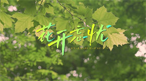 S1265周深《花开忘忧》#原版伴奏 #带和声 唯美意境温暖治愈怀旧风格节日晚会舞蹈演出舞台高清LED视频背景素材