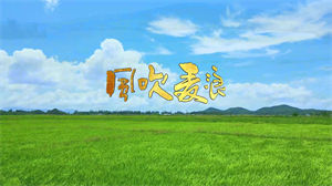 S1311李健孙俪《风吹麦浪》#原版伴奏 #带和声 唯美治愈金色田野节日晚会舞蹈演出舞台合唱高清LED视频背景素材