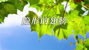 S1313张韶涵《隐形的翅膀》#原版伴奏 #无人声 唯美治愈经典歌曲节日晚会舞蹈演出舞台合唱高清LED视频背景素材