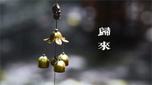 S1334杨青《归来》#无古琴声 唯美治愈系古风禅意高清LED视频背景素材mv完整版 #国风古韵