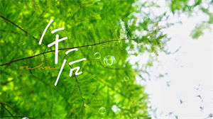 S1338厦门二中合唱团《午后》#去间奏 #伴奏 #无人声 唯美校园歌曲节日晚会舞蹈演出舞台高清LED视频背景素材