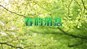 S1356儿童朗诵《春的消息》#配乐版 儿童口才演讲比赛节日晚会演出舞台高清LED视频背景素材