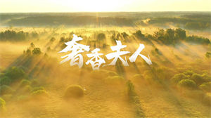 S1374凤凰传奇《奢香夫人》#伴奏 #带和声 经典老歌节日晚会儿童舞蹈演出舞台高清LED视频背景素材#小石头和孩子们