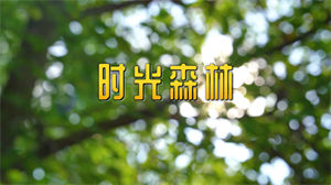 S1378李昕融叶嘉《时光森林》#伴奏 #无人声 儿童歌曲节日晚会舞蹈演出舞台高清LED视频背景素材