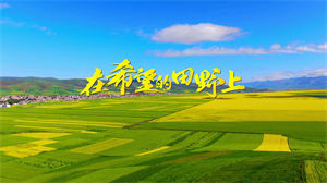 S1384张也《在希望的田野上》#伴奏 #无人声 乡村歌曲节日晚会舞蹈演出舞台高清LED视频背景素材