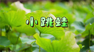 S1409青蛙乐队《小跳蛙》#伴奏 #无人声 青蛙儿童校园合唱歌曲节日晚会舞蹈演出舞台高清LED视频背景素材