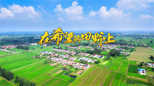 S1446大合唱《在希望的田野上》#原唱mv 经典歌曲节日晚会舞蹈演出舞台高清LED视频背景素材#可替换伴奏