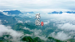 S1488张渠《采薇》#伴奏 #无人声 唯美古筝歌曲节日晚会舞蹈演出舞台高清LED视频背景素材