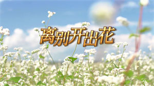 S1520杨坤 吉克隽逸《离别开出花》#伴奏 #带和声 励志歌曲节日晚会舞蹈演出舞台高清LED视频背景素材