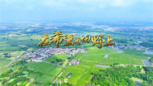 S1553花与影广场舞《在希望的田野上》#伴奏 #无人声 16人队形版歌曲节日舞蹈演出舞台高清LED视频背景素材