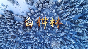 S1578朴树《白桦林》#伴奏 #无人声 经典爱情歌曲节日舞蹈演出舞台高清LED视频背景素材