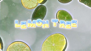 S1638Fool’s Garde《lemon tree》#伴奏 #无人声 复古英文励志歌曲节日晚会舞蹈演出舞台高清LED视频背景素材