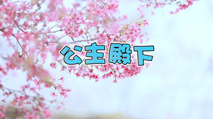 S1641崔洋《公主殿下》#伴奏 #无人声 唯美爱情婚礼歌曲节日晚会舞蹈演出舞台高清LED视频背景素材