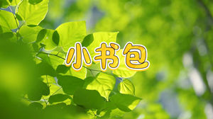 S1652李昕融《小书包》#伴奏 #带和声 儿童唯美校园歌曲节日晚会舞蹈演出舞台高清LED视频背景素材