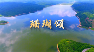 S1696韩红《珊瑚颂》#伴奏 #无人声 唯美红色经典歌曲节日舞蹈演出舞台高清LED视频背景素材