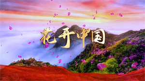 S1712合唱《花开中国》#伴奏 #带和声 爱国歌曲节日舞蹈演出舞台高清LED视频背景素材