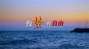 S1717汪峰《像梦一样自由》#伴奏 #带和声 摇滚励志歌曲节日舞蹈演出舞台高清LED视频背景素材