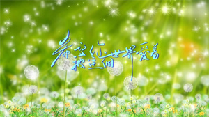 S1722吕口口《希望你被这个世界爱着》#伴奏 #无人声 唯美蒲公英治愈歌曲节日舞蹈演出舞台高清LED视频背景素材