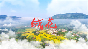 S1727韩红《绒花》#伴奏 #无人声 国庆爱国歌曲节日舞蹈演出舞台高清LED视频背景素材