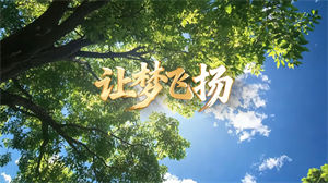 S1752郭文骏《让梦飞扬》#伴奏 #带和声 小学校园励志儿童歌曲节日舞蹈演出舞台高清LED视频背景素材