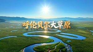 S1767布仁巴雅尔《呼伦贝尔大草原》#伴奏 #无人声 蒙古唯美经典歌曲节日舞蹈演出舞台高清LED视频背景素材