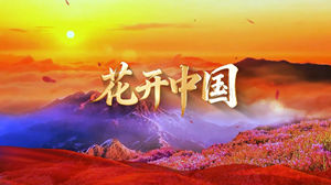 S1792童声合唱版《花开中国》#伴奏 #无人声 大气爱国儿童歌曲节日舞蹈演出舞台高清LED视频背景素材