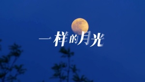 S1976徐佳莹《一样的月光》#伴奏 #带和声 唯美治愈城市风景歌曲节日舞蹈演出舞台高清LED视频背景素材