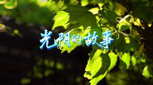 S1837女呓初月miki梁安《光阴的故事》#伴奏 #无人声 唯美治愈年会合唱歌曲节日舞蹈演出舞台高清LED视频背景素材