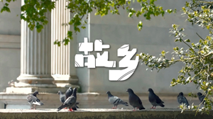 S1929许巍《故乡》#伴奏 #无人声 唯美治愈思念家乡爱情歌曲节日舞蹈演出舞台高清LED视频背景素材