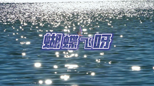 S1939张钰琪《蝴蝶飞呀》#伴奏 #带和声 女声唯美治愈励志歌曲节日晚会舞蹈演出舞台高清LED视频背景素材