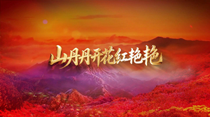 S1962王二妮《山丹丹开花红艳艳》#伴奏 #带和声 国庆爱国经典歌曲节日晚会舞蹈演出舞台高清LED视频背景素材