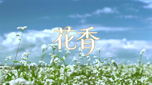 S1963ya牙姐《花香》#伴奏 #无人声 小学生教师合唱版校园励志毕业歌曲节日舞蹈演出舞台高清LED视频背景素材