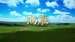 S1969呼斯楞《鸿雁》#伴奏 #带和声 唯美乡愁草原候鸟歌曲节日舞蹈演出舞台高清LED视频背景素材