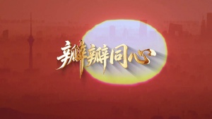 S1971徐晶晶《瓣瓣同心》#伴奏 #带和声 京津冀协同发展歌曲节日晚会舞蹈演出舞台高清LED视频背景素材