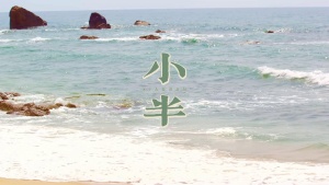 S1973陈粒《小半》#伴奏 #带和声 加前奏唯美意境伤感爱情歌曲节日晚会舞蹈演出舞台高清LED视频背景素材