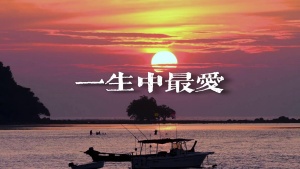 S1979谭咏麟《一生中最爱》#伴奏 #无人声 经典粤语唯美治愈伤感歌曲节日舞蹈演出舞台高清LED视频背景素材