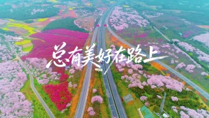 S1992周深《总有美好在路上》#伴奏 #无人声 唯美治愈风景小清新励志歌曲节日舞蹈演出舞台高清LED视频背景素材